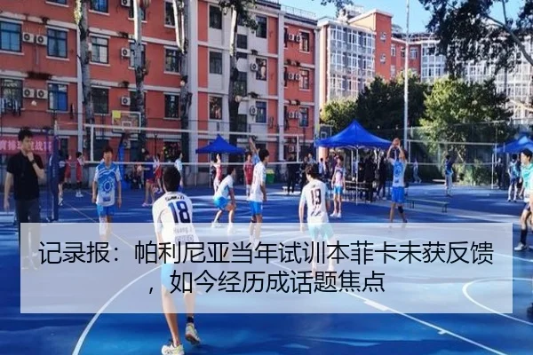 记录报:帕利尼亚当年试训本菲卡未获反馈,如今经历成话题焦点